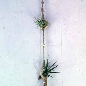 Macrame air plant hanger