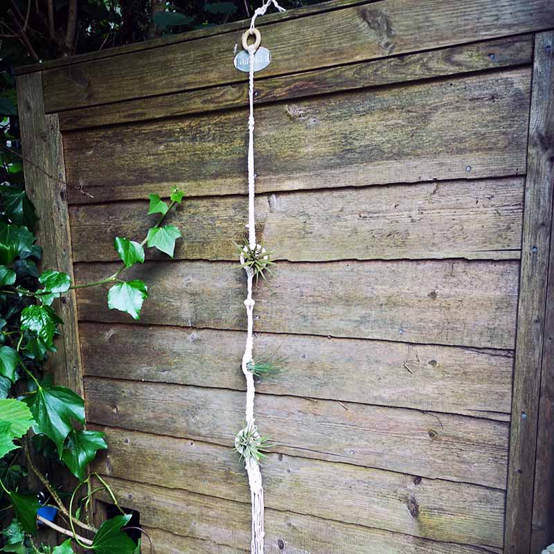 Macrame air plant hanger
